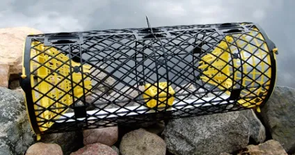 На що ловити раків в раколовки, як правильно, коли краще і чи можна ловити (раків) На що ловити раків в раколовки, як правильно, коли краще і чи можна ловити