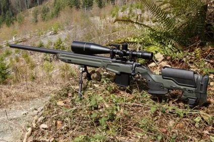 Нарізну рушницю remington 700 - опис, відгуки (remington) Нарізну рушницю remington 700 - опис, відгуки