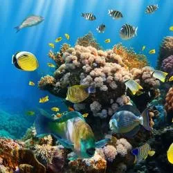 Натяжні стелі у ванній фотодрук фото, неповторні варіанти оформлення широкоформатний друк (стелі) Натяжні стелі у ванній фотодрук фото, неповторні варіанти оформлення широкоформатний друк