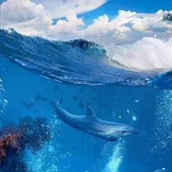 Натяжні стелі у ванній фотодрук фото, неповторні варіанти оформлення широкоформатний друк (фотодрук) Натяжні стелі у ванній фотодрук фото, неповторні варіанти оформлення широкоформатний друк