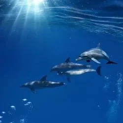 Натяжні стелі у ванній фотодрук фото, неповторні варіанти оформлення широкоформатний друк (натяжні) Натяжні стелі у ванній фотодрук фото, неповторні варіанти оформлення широкоформатний друк