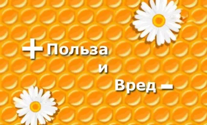 Незаперечна користь нектару для здоров'я, лікування нектаром (користь) Незаперечна користь нектару для здоров'я, лікування нектаром