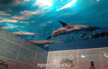 Натяжні стелі у ванній, ціни, фото (фото.) Натяжні стелі у ванній, ціни, фото
