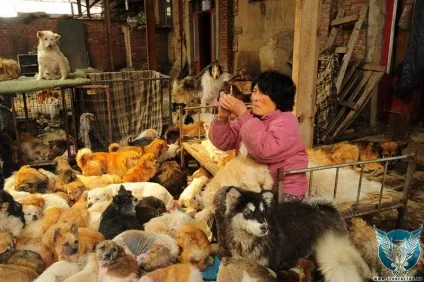 Національні особливості китайців (звичаї народів світу) Національні особливості китайців