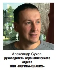 Nqrika обираємо перспективні гатунку - журнал - картопляна система (для) Nqrika вибираємо перспективні сорти - журнал - картопляна систему