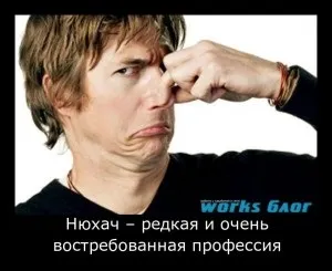 Нюхач - рідкісна і дуже затребувана професія (рідкісна) Нюхач - рідкісна і дуже затребувана професія