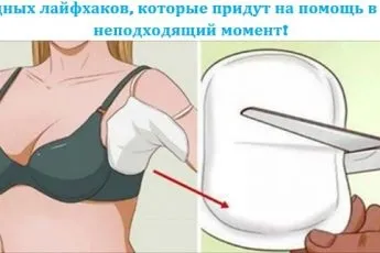 Неймовірно! Ось, виявляється, чому не варто приходити кому то в гості з порожніми руками - (гості) Неймовірно! Ось, виявляється, чому не варто приходити кому то в гості з порожніми руками -