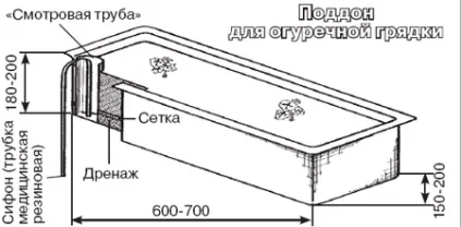 Не вистачило літа - вирощуємо овочі в квартирі (підгодовування) Не вистачило літа - вирощуємо овочі в квартирі