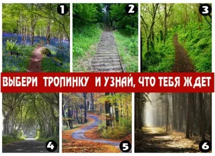 Неймовірно правдива тест