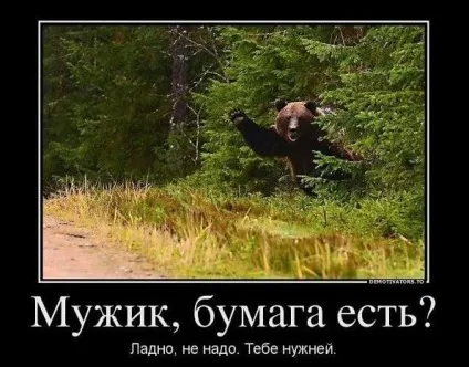 Ночівля в лісі