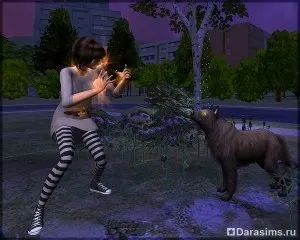 Перевертні в «the sims 2 вихованці» (вихованці) Перевертні в «the sims 2 вихованці»