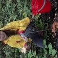 Один день з життя дитячого саду (для педагогів) Один день з життя дитячого саду