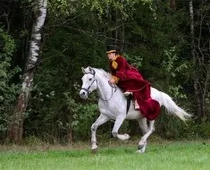 Одяг для верхової їзди вимоги і особливості, поради досвідчених вершників (одяг) Одяг для верхової їзди вимоги і особливості, поради досвідчених вершників