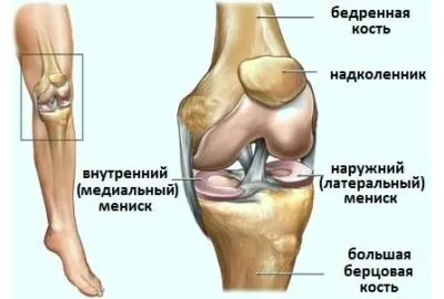 Операції на меніску артроскопія, меніскектомія, трансплантація (меніску) Операції на меніску артроскопія, меніскектомія, трансплантація