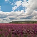 Відпочинок в селі або чим привабливий агроекотуризму, eco-boom (сільський туризм в криму) Відпочинок в селі або чим привабливий агроекотуризму, eco-boom