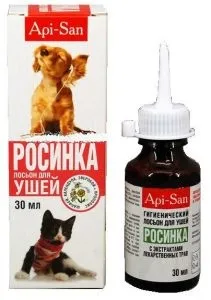 Отит у кішок симптоми і лікування в домашніх умовах (кішок) Отит у кішок симптоми і лікування в домашніх умовах