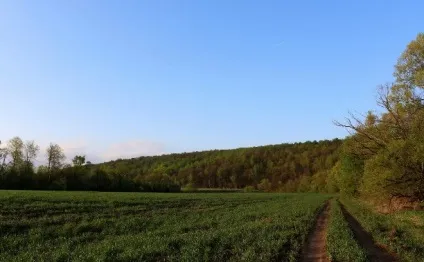 Відпочиваємо на батьківщині! Блог - навколишній світ () Відпочиваємо на батьківщині! Блог - навколишній світ
