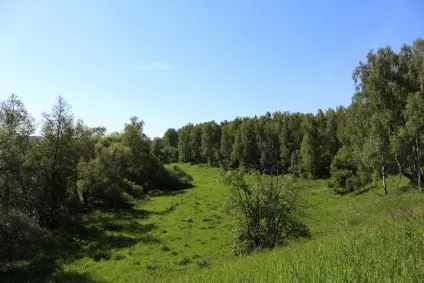 Відпочиваємо на батьківщині! Блог - навколишній світ () Відпочиваємо на батьківщині! Блог - навколишній світ