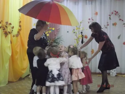 Звіти про проведені заходи