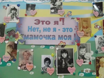 Звіти про проведені заходи