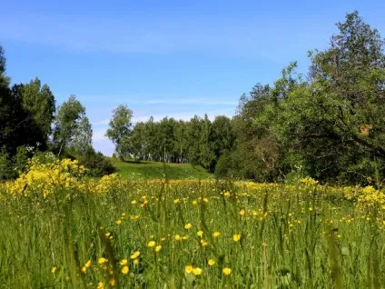 Відпочиваємо на батьківщині! Блог - навколишній світ () Відпочиваємо на батьківщині! Блог - навколишній світ