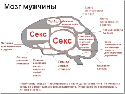Відмінність чоловіки від жінки (відміну чоловіки від жінки) Відмінність чоловіки від жінки