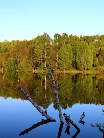 Відпочиваємо на батьківщині! Блог - навколишній світ () Відпочиваємо на батьківщині! Блог - навколишній світ