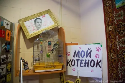 Як роблять шоу на радіостанції - рекорд (роблять) Як роблять шоу на радіостанції - рекорд