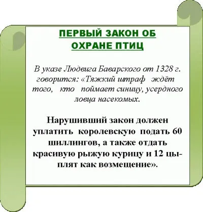 Ох, вже ці синички ..., класний екіпаж (школа) Ох, вже ці синички ..., класний екіпаж