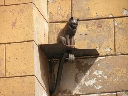 Пам'ятники кішкам котячий Харків (Пушкін) Пам'ятники кішкам котячий Харків