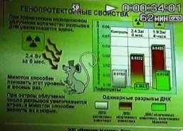 Печінка здатна відновлюватися