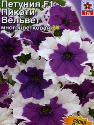 Петунія фото і опис найкращих сортів, умови вирощування петуній, як доглядати за квітами (самих) Петунія фото і опис найкращих сортів, умови вирощування петуній, як доглядати за квітами