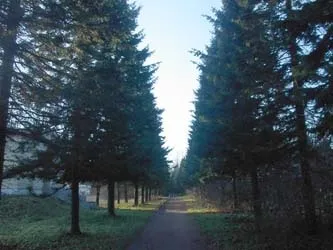 Петербург і околиці - передмістя Харкова Пулковських висот (петербурга) Петербург і околиці - передмістя Харкова Пулковські висоти