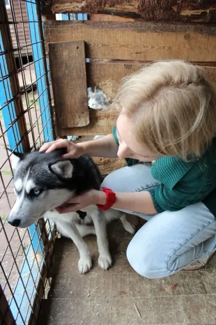 Розплідник Ельбрус в Запоріжжі відгуки про нашу поїздку