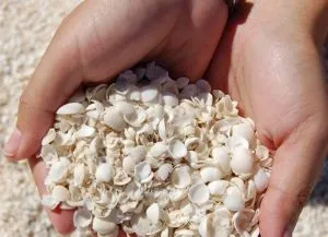 Пляж шелл-бич, shell beach