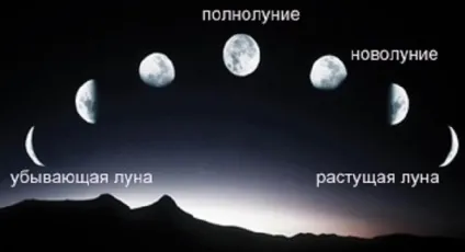 Чому коли цвіте черемха, то стає холодно (прикмети, народні вірування) - таємниче (прикмети) Чому коли цвіте черемха, то стає холодно (прикмети, народні вірування) - таємниче