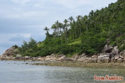 Пляж bottle beach