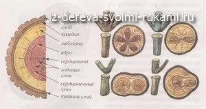 Вироби з спилов дерева, з дерева своїми руками! Цікаві дерев'яні вироби, меблі, (руками) Вироби з спилов дерева, з дерева своїми руками! Цікаві дерев'яні вироби, меблі,