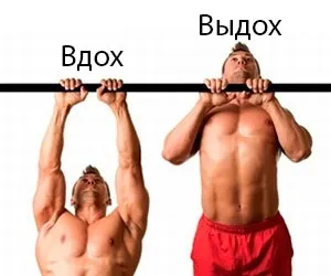Підтягування вузьким хватом на турніку прямим і зворотним, які м'язи працюють при різній постановці (підтягування з вузькою постановкою рук) Підтягування вузьким хватом на турніку прямим і зворотним, які м'язи працюють при різній постановці
