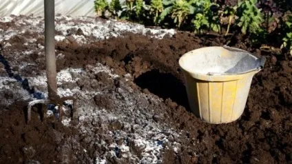 Підготовка теплиці до зими як забратися в парнику - фото і відео (теплиці) Підготовка теплиці до зими як забратися в парнику - фото і відео