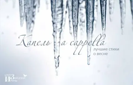 Поезія, блог Ірини Зайцевої