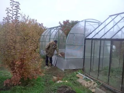 Підготовка теплиці до зими як забратися в парнику - фото і відео (підготовка) Підготовка теплиці до зими як забратися в парнику - фото і відео