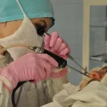Поліпозно риносинусит симптоми і лікування (поліпозний) Поліпозно риносинусит симптоми і лікування