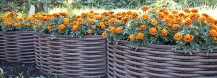 Polywood - виробництво фасадної і терасної дошки вУкаіни (терасної) Polywood - виробництво фасадної і терасної дошки вУкаіни