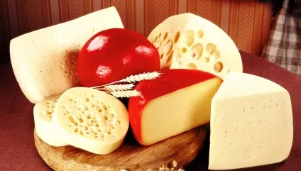 Користь сиру в фітнес харчуванні