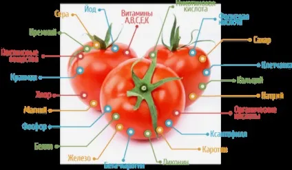 Помідори при каменях в нирках користь і шкода, протипоказання (нирках) Помідори при каменях в нирках користь і шкода, протипоказання