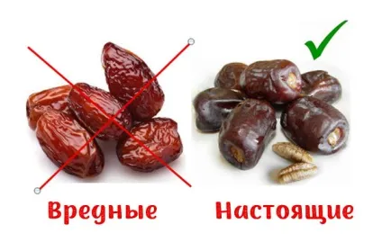 Користь і шкода фініків для здоров'я людини (фініків) Користь і шкода фініків для здоров'я людини