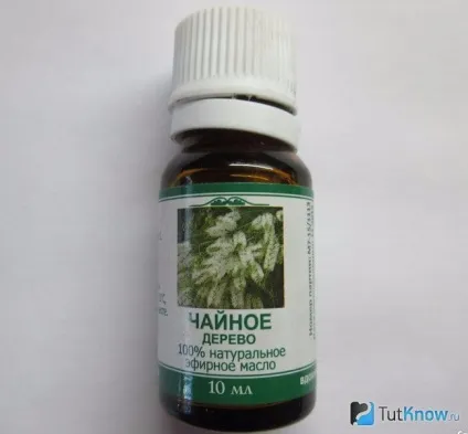 Корисні властивості і особливості олії чайного дерева (корисні) Корисні властивості і особливості олії чайного дерева