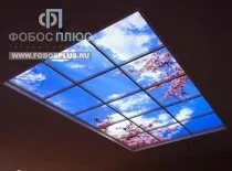Стеля в басейні - від 800 руб