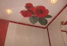 Стелі натяжні фотодрук ванна кімната маленька, фото і варіанти (фото) Стелі натяжні фотодрук ванна кімната маленька, фото і варіанти